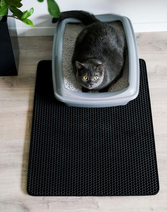 SmartTrap Alomgyűjtő™